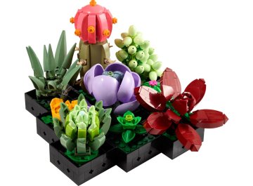 Les succulentes