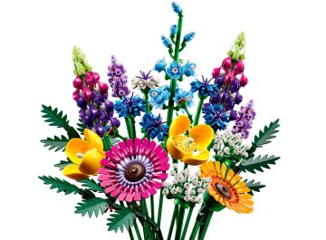 Bouquet de fleurs sauvages