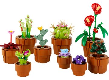 Les petites plantes botanicals