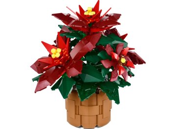 L'étoile de Noël