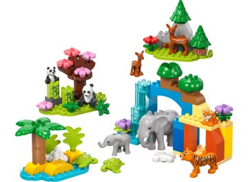 Familles d'animaux sauvages 3-en-1