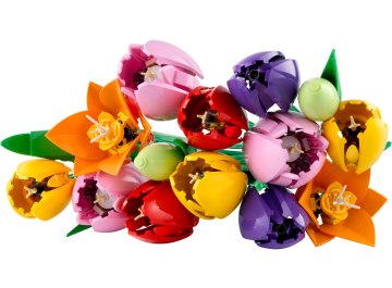 Le bouquet de tulipes