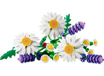 Marguerites