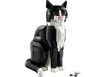 Chat Bicolore