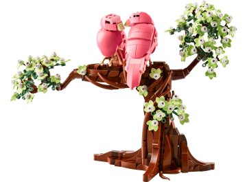 Les oiseaux amoureux