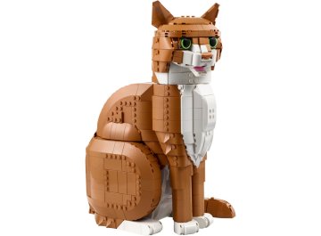 Le chat roux