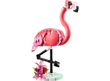 Animaux sauvages : le flamant rose