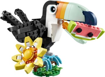 Animaux sauvages : le toucan tropical