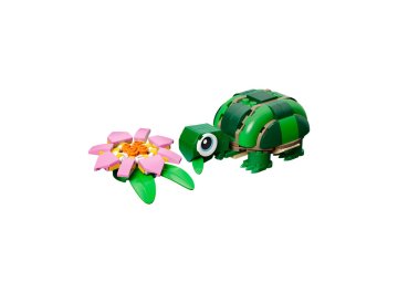 La tortue et la fleur de nénuphar
