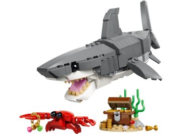 Le redoutable requin et le coffre au trésor