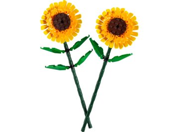 Tournesols