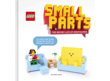Livre minifigurines LEGO dans l'univers LEGO