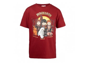 T-shirt Harry Potter trio et animaux bordeaux