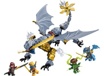 Le combat du Dragon Riyu