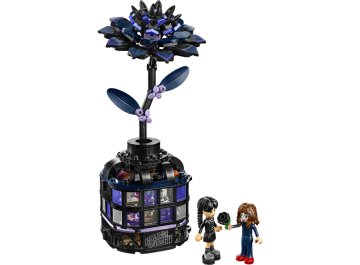Le Dahlia Noir Mercredi
