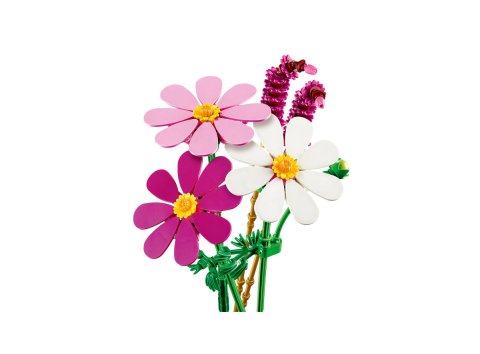 Lego® 11514 Les cosmos