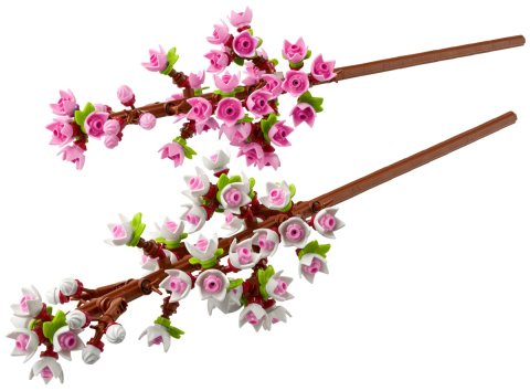 Lego® 40725 Les Fleurs de Cerisier