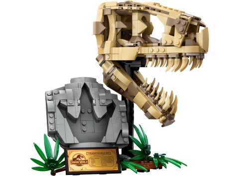 Lego® 76964 Les fossiles de dinosaures : le crâne du T. rex