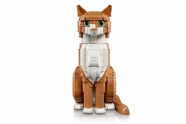 lego 21376 vu total  face